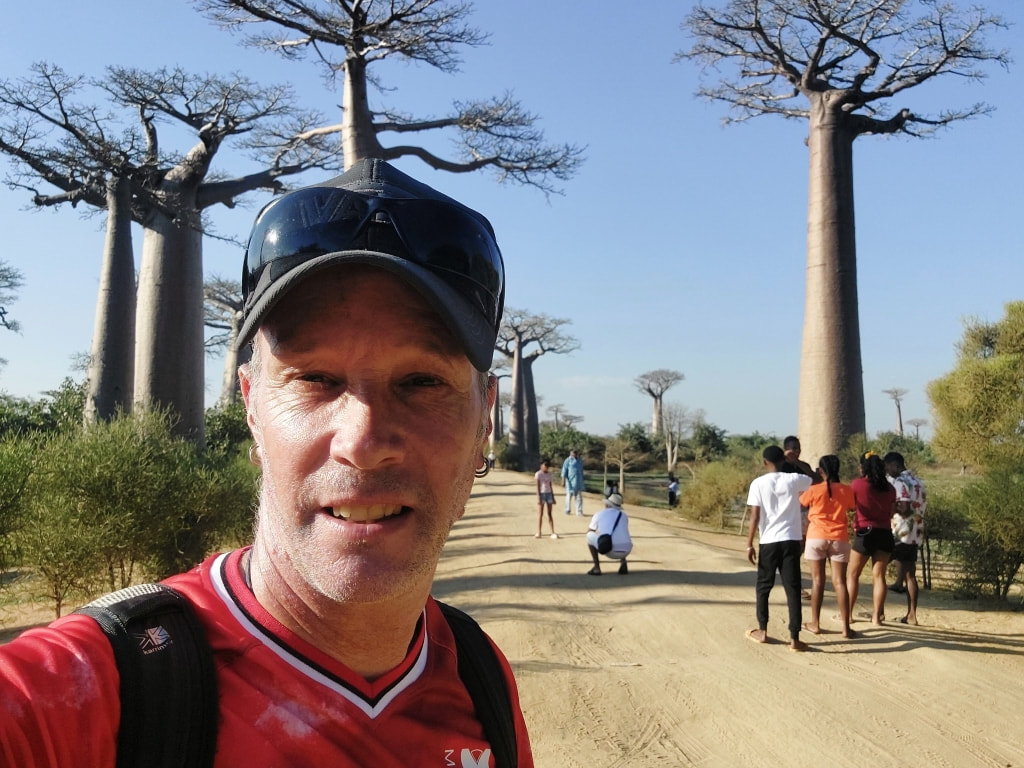 Avenue des Baobabs in Madagascar