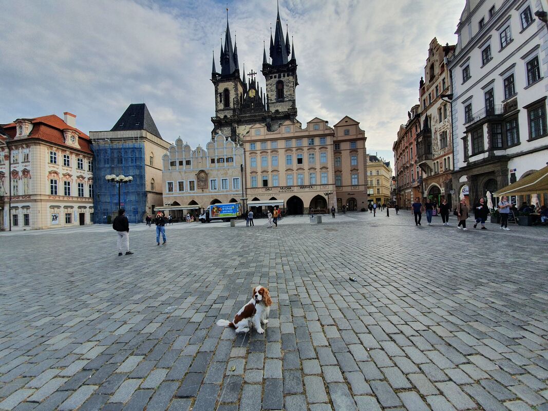 the main square in Czech Replublic which is a great dog-friendly country