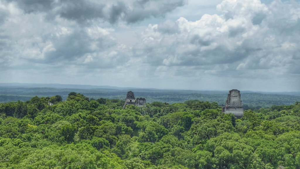 view above the trees at Tikal Guatemala