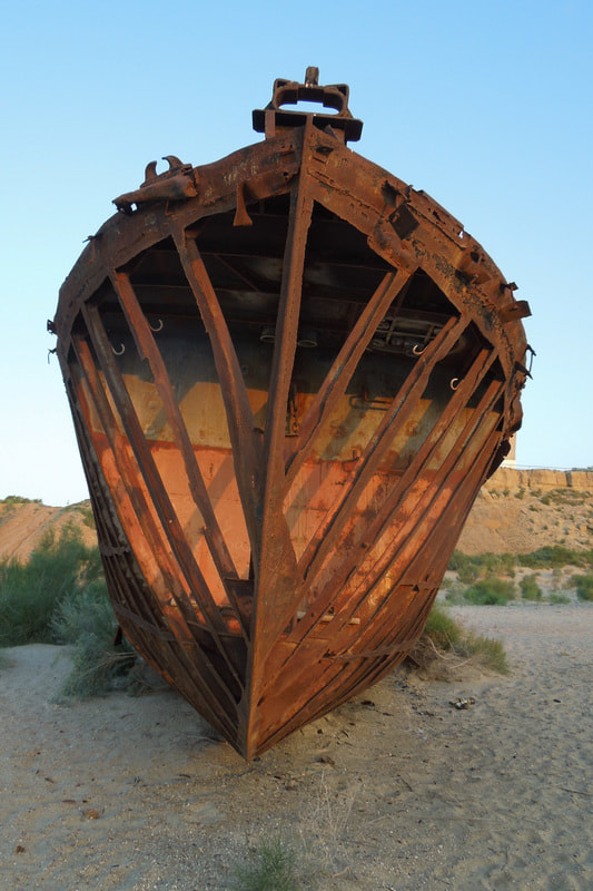 Aral Sea ships