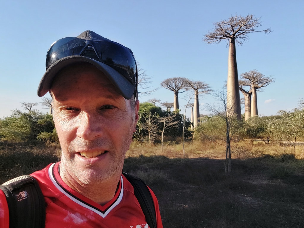 Avenue des Baobabs Madagascar