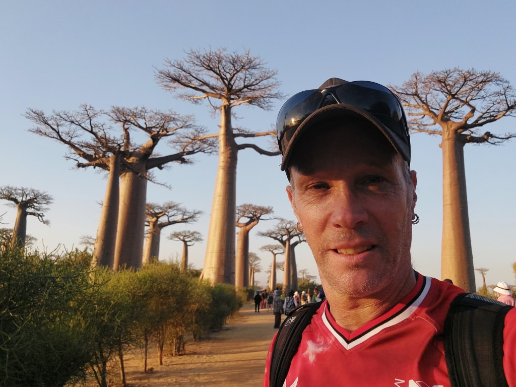 The Avenue des Baobabs in  in Madagascar