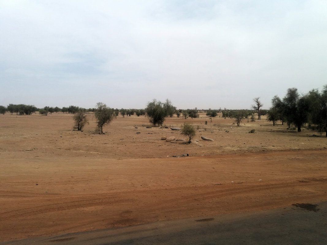 Mali countryside