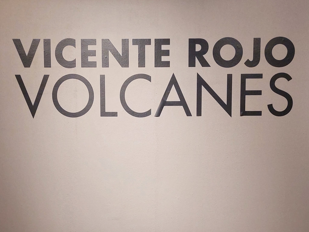 El Colegio Nacional CDMX Vicente Rojo Volcanes