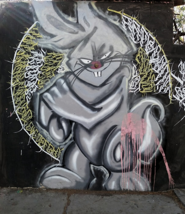 Street Art Barrio De Jalatlaco Oaxaca
