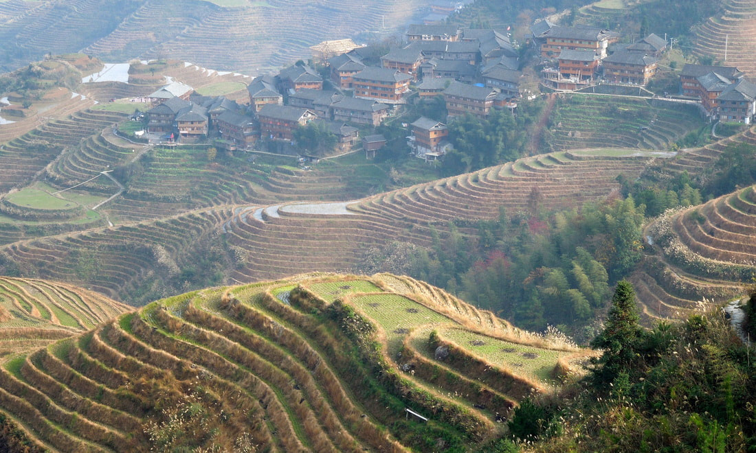 Longsheng Dragon's Backbone rice terraces in China