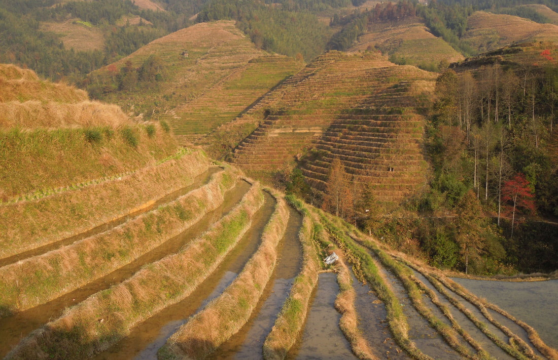 Longsheng | Longji Rice Terraces China Nomadic Backpacker