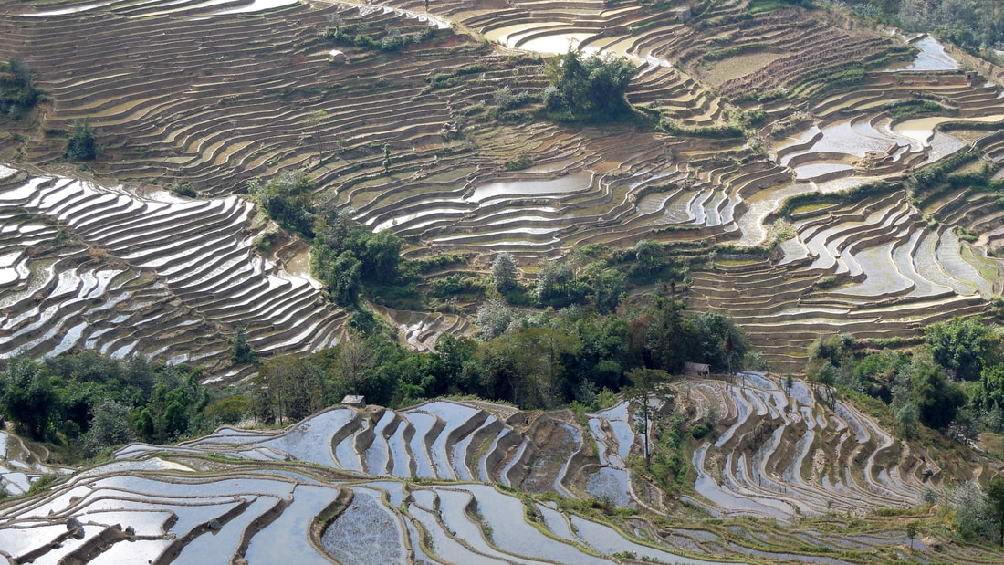 Yuanyang Rice Terraces in Yunnan Province