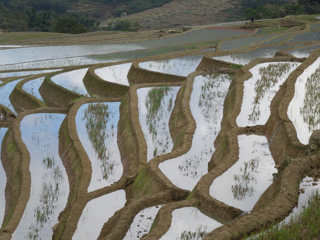 Backpacking in China: Yuanyang Rice Terraces in Yunnan Province