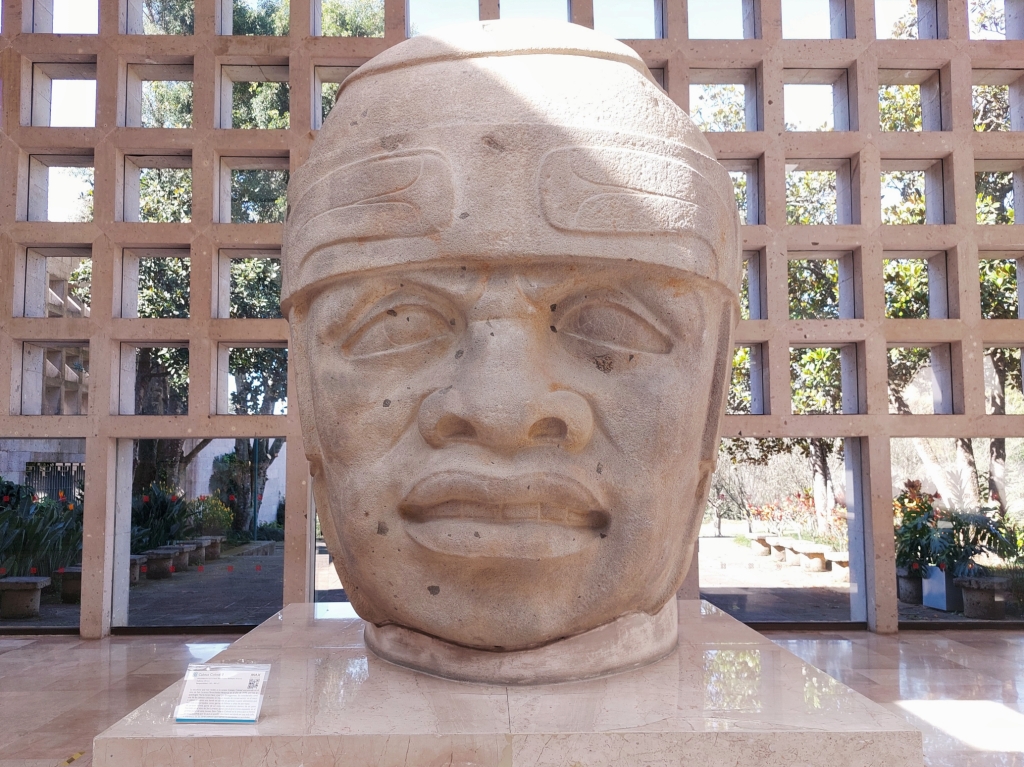 Olmec Giant Head no 8 at the Museo de Antropología de Xalapa